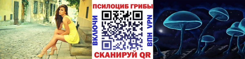 Псилоцибиновые грибы мицелий  Купить  Учалы 